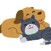 Alt text for the image
